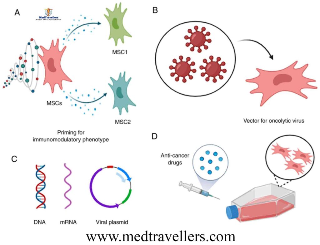 Mesenchymal Stem Cell Therapy www.medtravellers.com