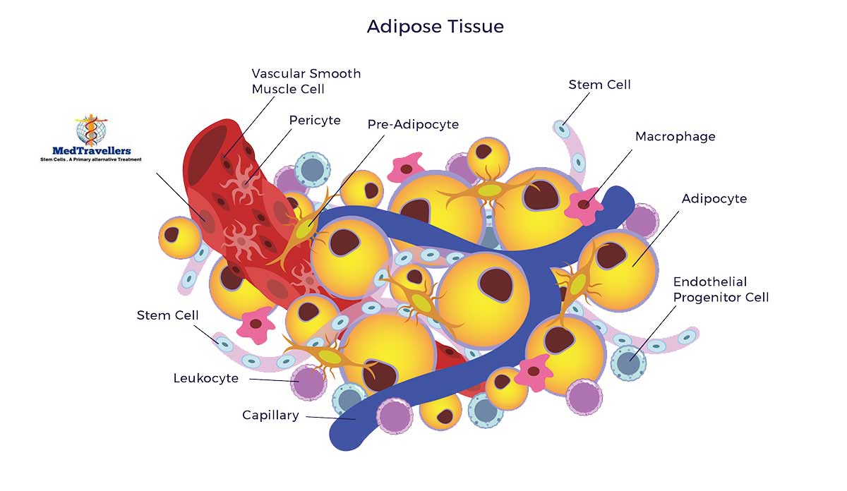Cardiovascular repair