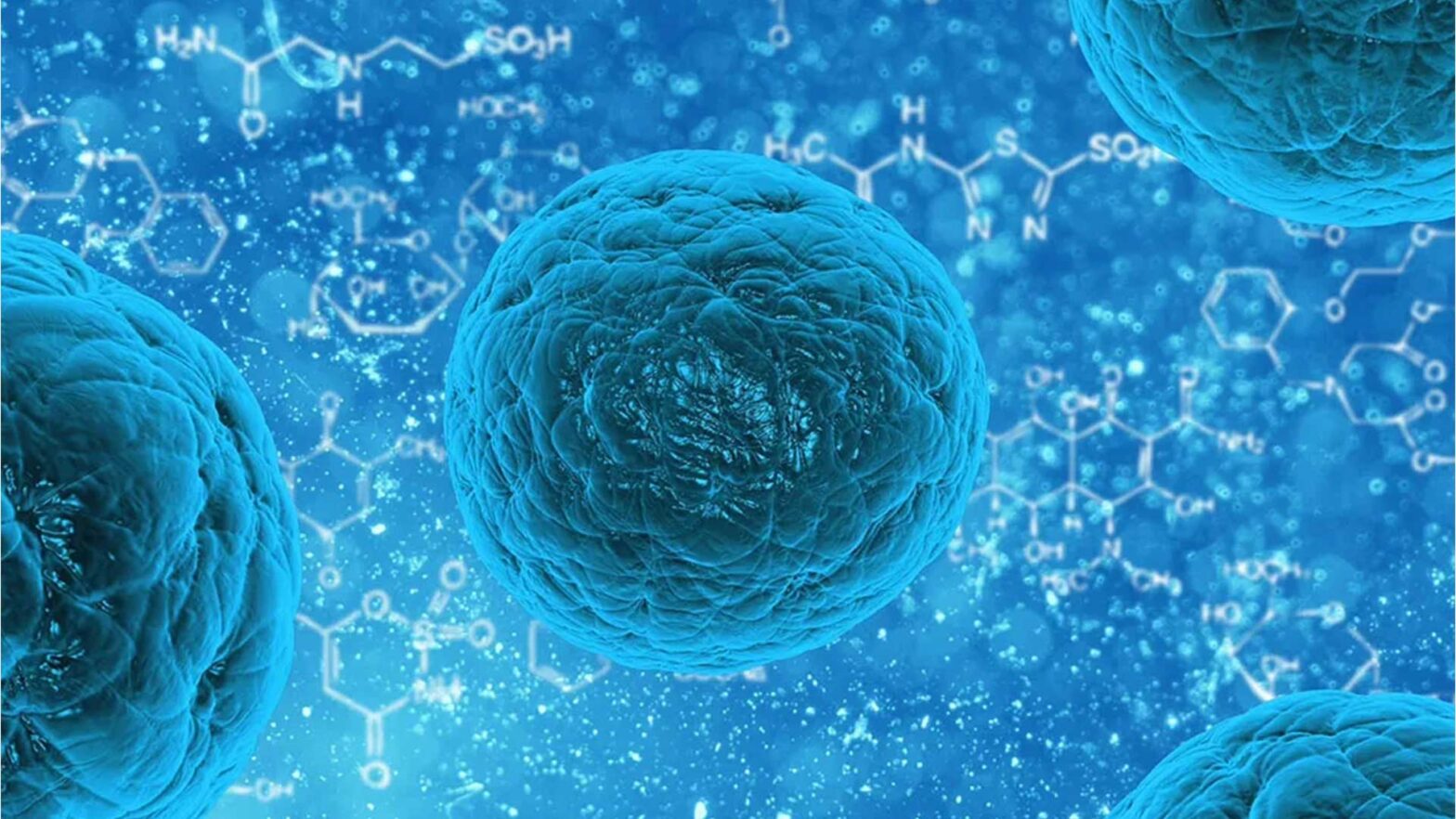 A Pioneer in Stem Cell Therapy in India