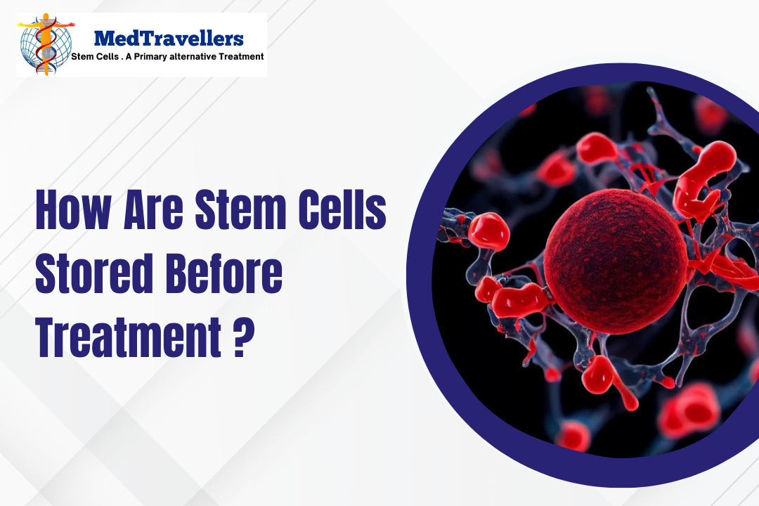 How Are Stem Cells Stored Before Treatment